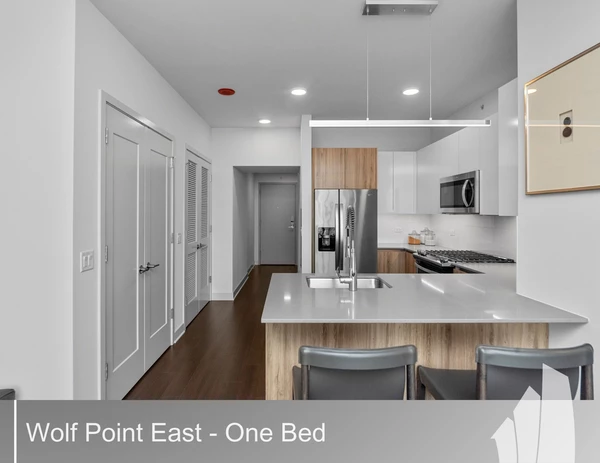 1 bedroom apartment for rent in River North - Central, Chicago