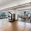 1 bedroom apartment for rent in River North - Central, Chicago
