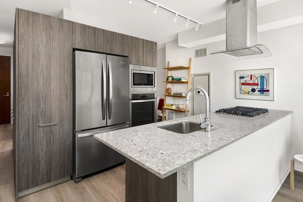 1 bedroom apartment for rent in Streeterville - Central, Chicago