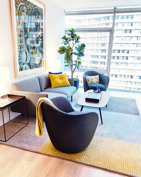 1 bedroom apartment for rent in Streeterville - Central, Chicago