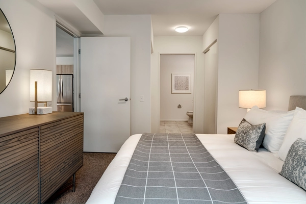 1 bedroom apartment for rent in Streeterville - Central, Chicago