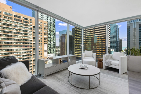 1 bedroom apartment for rent in Streeterville - Central, Chicago