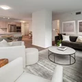 1 bedroom apartment for rent in Streeterville - Central, Chicago