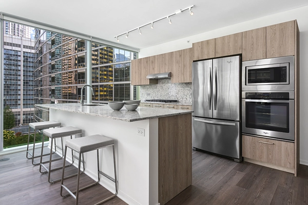 Studio Apartment for rent in Streeterville - Central, Chicago
