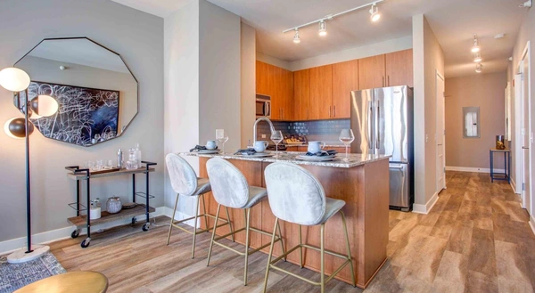 1 bedroom apartment for rent in Magnificent Mile - Central, Chicago