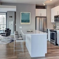 1 bedroom apartment for rent in Magnificent Mile - Central, Chicago