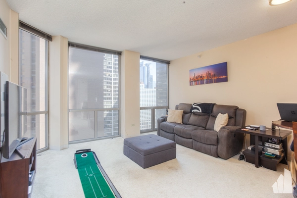 1 bedroom apartment for rent in Streeterville - Central, Chicago