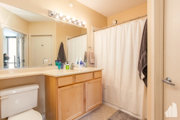 Studio Apartment for rent in River North - Central, Chicago