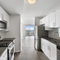 1 bedroom apartment for rent in Magnificent Mile - Central, Chicago
