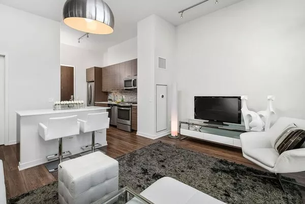 1 bedroom apartment for rent in Near North Side - Central, Chicago