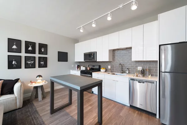 1 bedroom apartment for rent in Near North Side - Central, Chicago