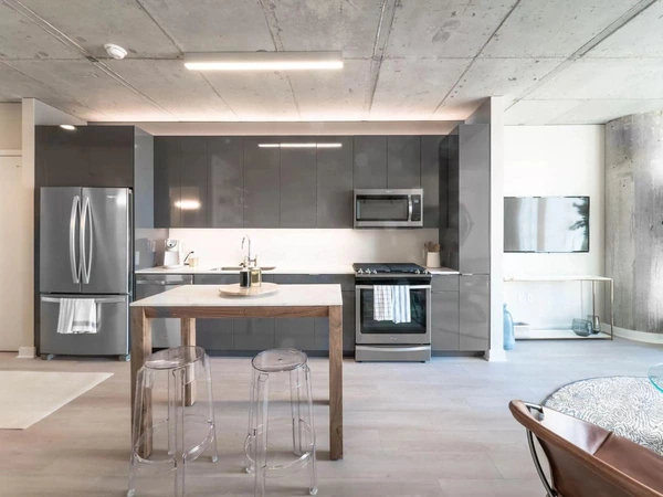 1 bedroom apartment for rent in River North - Central, Chicago