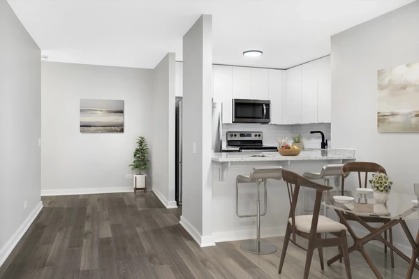 Studio Apartment for rent in River North - Central, Chicago