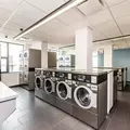 1 bedroom apartment for rent in River North - Central, Chicago