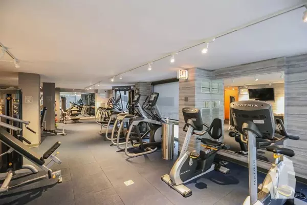 1 bedroom apartment for rent in Gold Coast - Central, Chicago