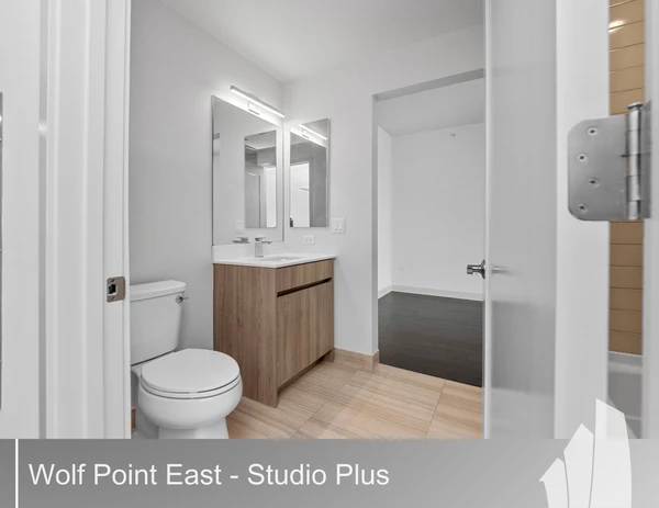 1 bedroom apartment for rent in River North - Central, Chicago