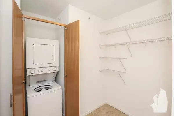 1 bedroom apartment for rent in Streeterville - Central, Chicago