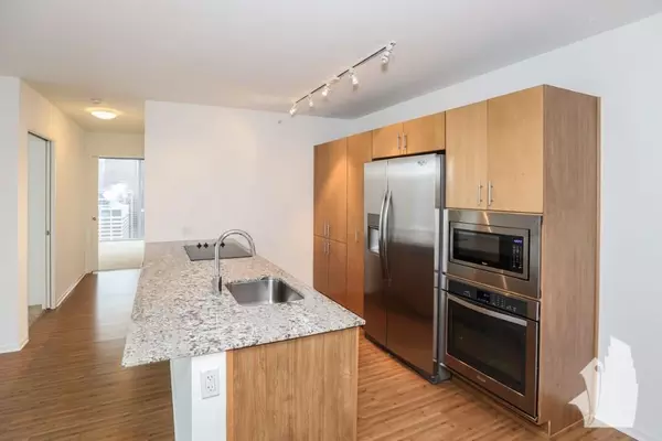 1 bedroom apartment for rent in Streeterville - Central, Chicago