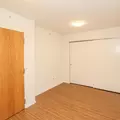 1 bedroom apartment for rent in Streeterville - Central, Chicago