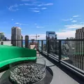 1 bedroom apartment for rent in Streeterville - Central, Chicago