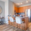 1 bedroom apartment for rent in Magnificent Mile - Central, Chicago