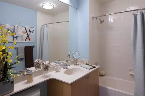 1 bedroom apartment for rent in River North - Central, Chicago