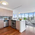 1 bedroom apartment for rent in River North - Central, Chicago