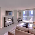 1 bedroom apartment for rent in Magnificent Mile - Central, Chicago