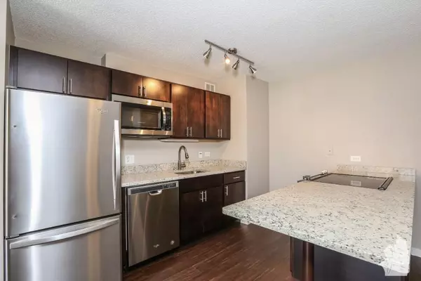 Studio Apartment for rent in Magnificent Mile - Central, Chicago