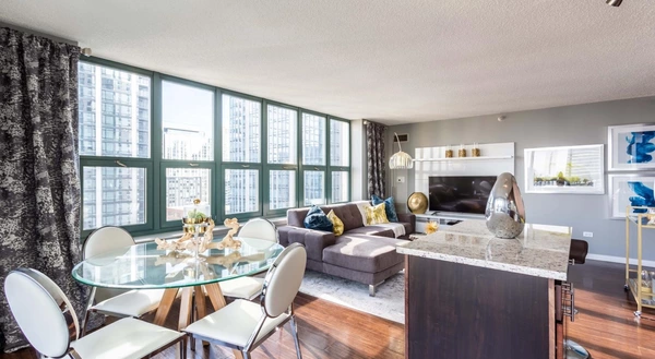 Studio Apartment for rent in Magnificent Mile - Central, Chicago