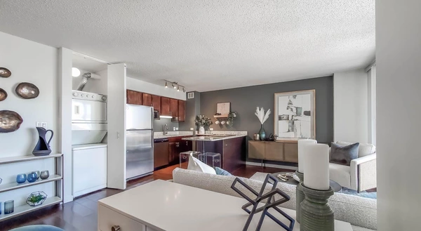 Studio Apartment for rent in Magnificent Mile - Central, Chicago
