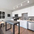 1 bedroom apartment for rent in Near North Side - Central, Chicago