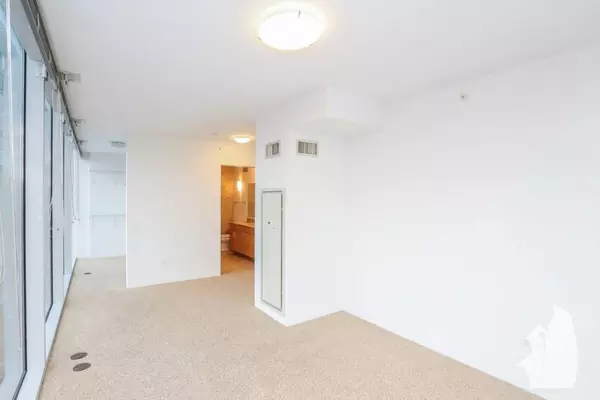 1 bedroom apartment for rent in Streeterville - Central, Chicago