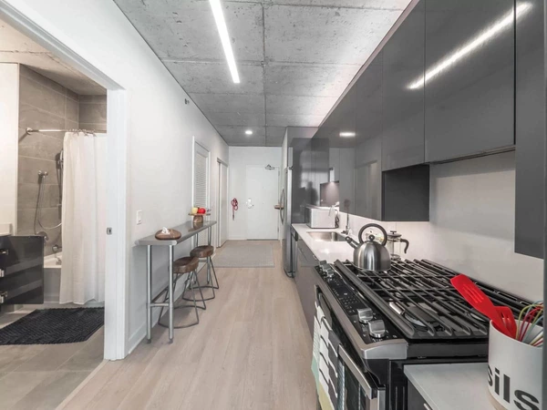 1 bedroom apartment for rent in River North - Central, Chicago