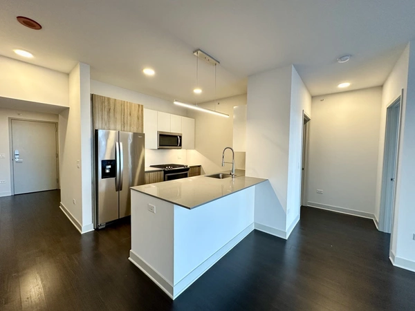1 bedroom apartment for rent in River North - Central, Chicago