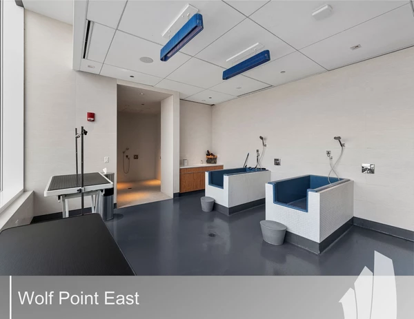 1 bedroom apartment for rent in River North - Central, Chicago