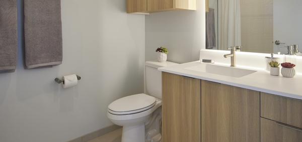 2 bedrooms apartment for rent in Lincoln Park - North Side, Chicago