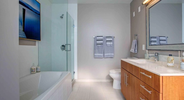 1 bedroom apartment for rent in Magnificent Mile - Central, Chicago