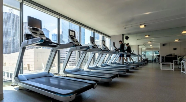 1 bedroom apartment for rent in Magnificent Mile - Central, Chicago