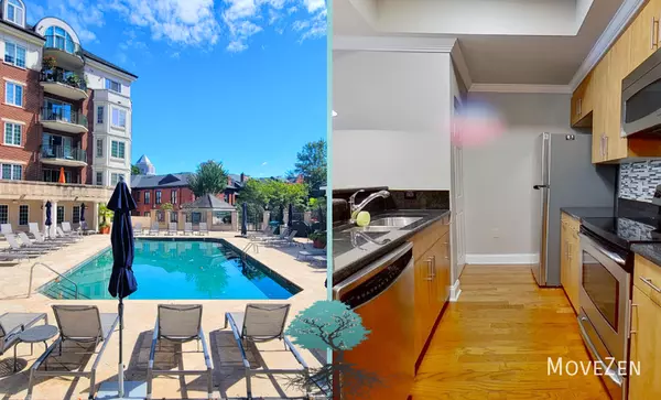 1 bedroom apartment for rent in Sunset Road - North Charlotte, Charlotte