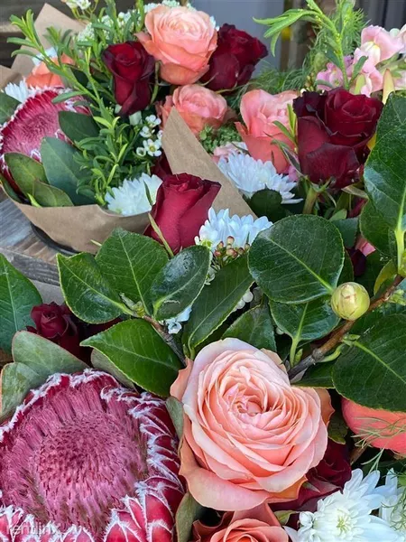 2 bedrooms apartment for rent in Cow Hollow - San Francisco, San Francisco