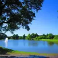 1 bedroom apartment for rent in Uptown Central - North SATX, San Antonio