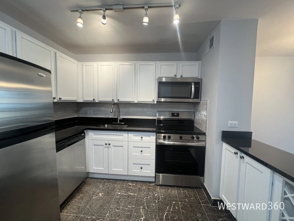 1 bedroom apartment for rent in Magnificent Mile - Central, Chicago