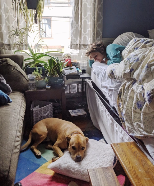 Studio Apartment for rent in Mission District - San Francisco, San Francisco