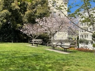 2 bedrooms apartment for rent in Nob Hill - San Francisco, San Francisco