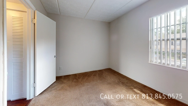 1 bedroom apartment for rent in Forest Hills Tampa - North Tampa, Tampa