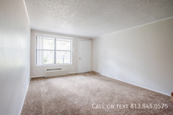 Studio Apartment for rent in Lowry Park North - North Tampa, Tampa