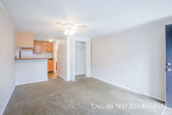 Studio Apartment for rent in Lowry Park North - North Tampa, Tampa