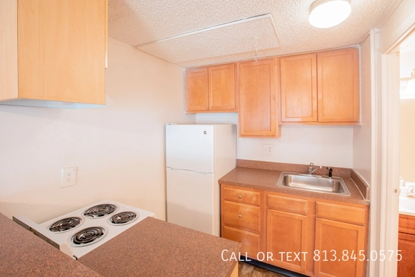 Studio Apartment for rent in Lowry Park North - North Tampa, Tampa