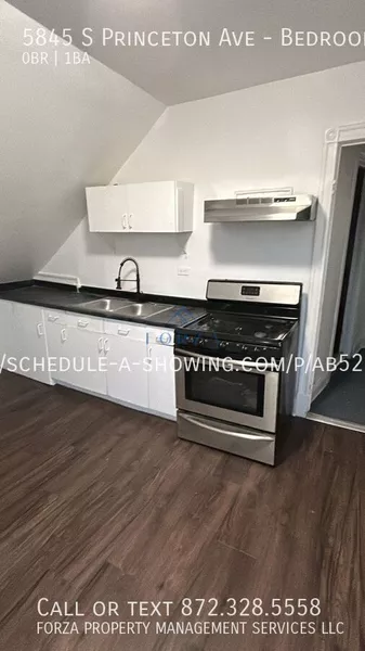 Studio Apartment for rent in Washington Park - South Side, Chicago